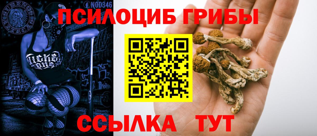 Псилоцибиновые грибы Cubensis Магадан