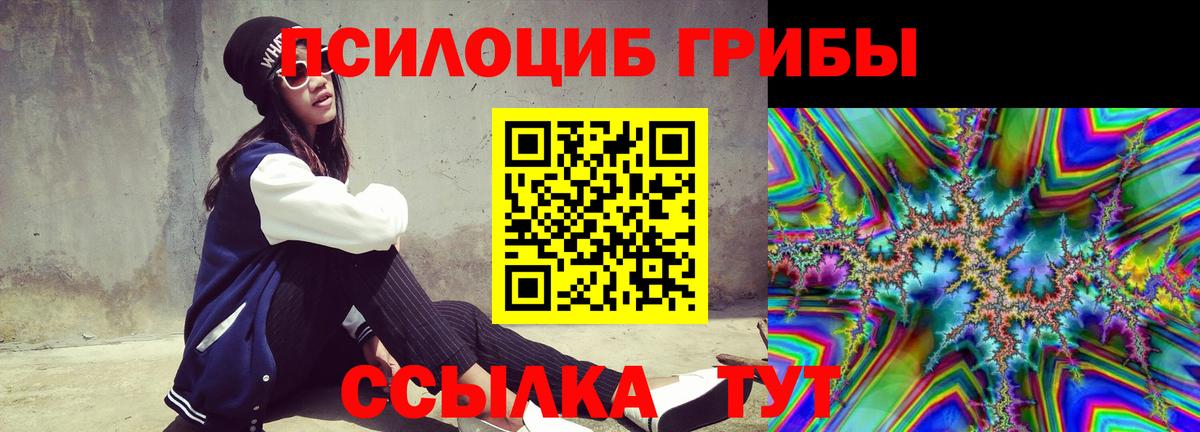 где купить   Галлюциногенные грибы ЛСД  Вход с VPN  Псилоцибиновые грибы ЛСД  Магадан 