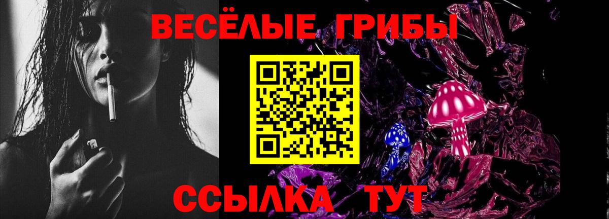 Галлюциногенные грибы Cubensis Магадан